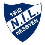 Sonerenn Nes